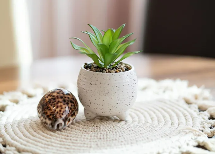 Boris Garden Comfort *